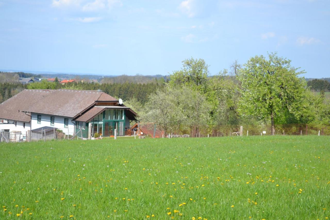 Biohof Auinger, Der Tiererlebnishof Apartment Aurach am Hongar Exterior photo