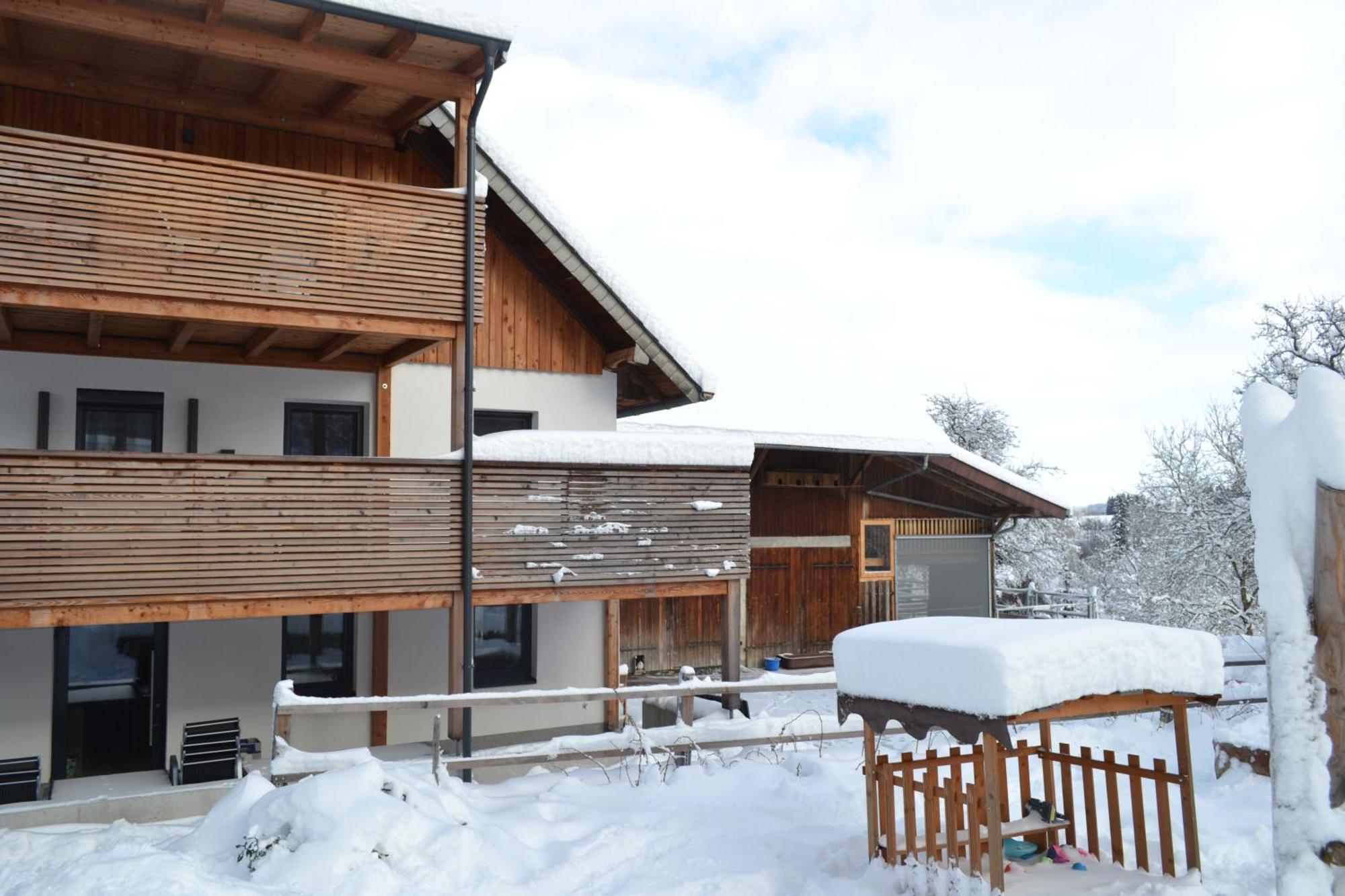 Biohof Auinger, Der Tiererlebnishof Apartment Aurach am Hongar Exterior photo